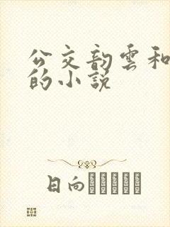 公交韵云和小健的小说