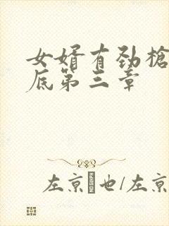 女婿有劲枪枪到底第三章