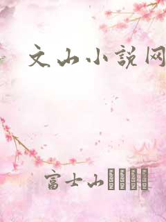 文山小说网