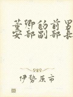 董卿的前男友公安部副部长