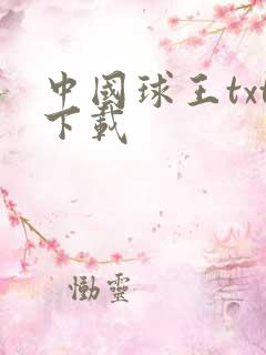 中国球王txt下载