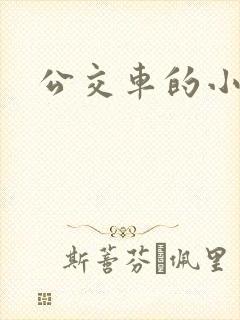 公交车的小说