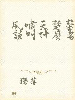 风啸天楚馨月小说叫什么名字