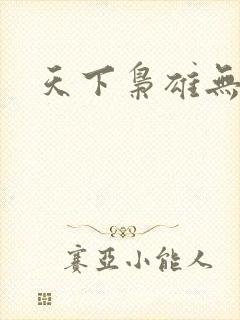 天下枭雄无弹窗