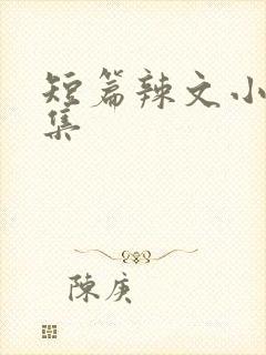 短篇辣文小说合集