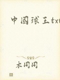 中国球王txt