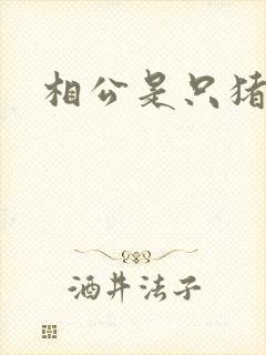 相公是只猪