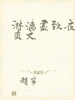 淋漓尽致夜晚小爽文