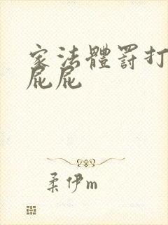 家法体罚打丫鬟屁屁