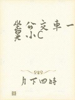 坐公交车一摇一晃小C