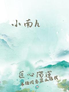 小南h