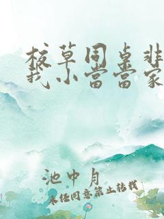 校草同桌非要撩我小当当家