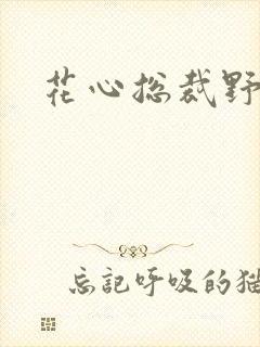 花心总裁野蛮妻