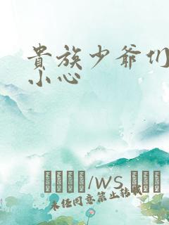 贵族少爷们 请小心