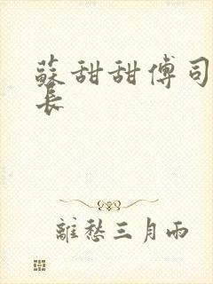 苏甜甜傅司衍机长