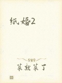 纸婚2