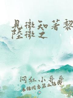 见微知著黎见卿陆微之