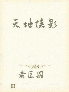 天地侠影