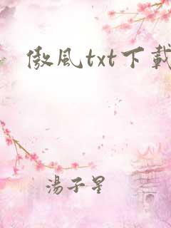 傲风txt下载