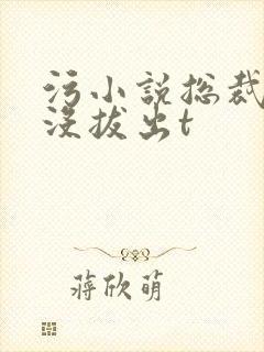 污小说总裁整夜没拔出t