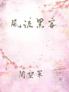 风流黑客