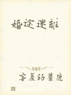 婚途迷离