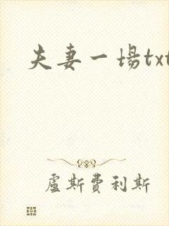 夫妻一场txt