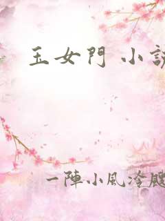 玉女门 小说