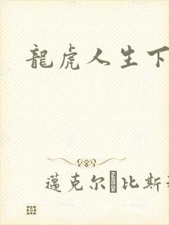 龙虎人生下载