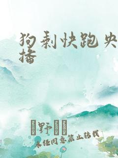 狗剩快跑央八首播