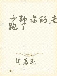 少帅你的老婆又跑了