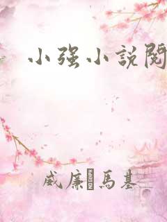 小强小说阅读网