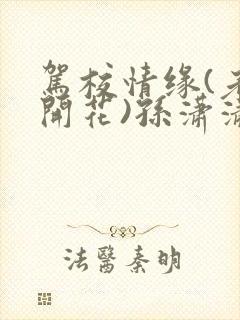 驾校情缘(老树开花)孙潇潇笔趣阁