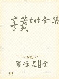 寸芒txt全集下载