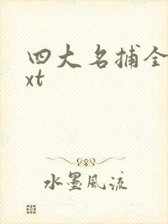 四大名捕全集txt