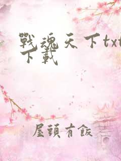 战魂天下txt下载