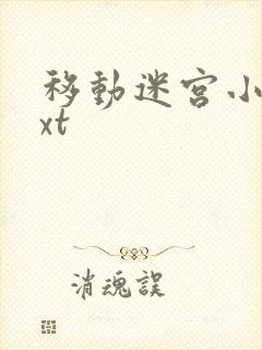 移动迷宫小说txt