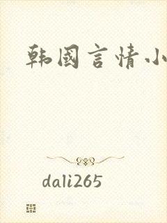韩国言情小说