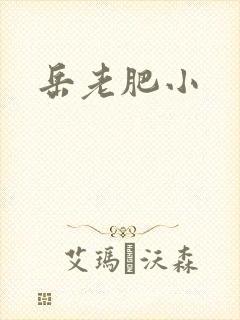 岳老肥小