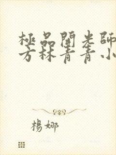 极品开光师李南方林青青小说免费阅读