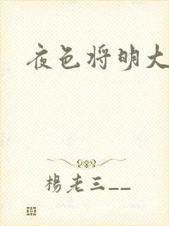 夜色将明大结局