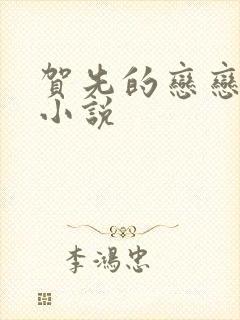 贺先的恋恋不忘小说