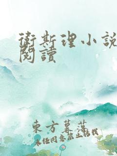 卫斯理小说在线阅读