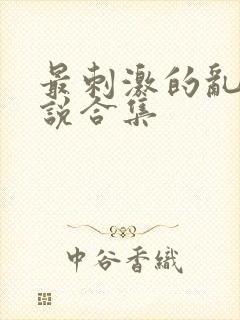 最刺激的乱岳小说合集