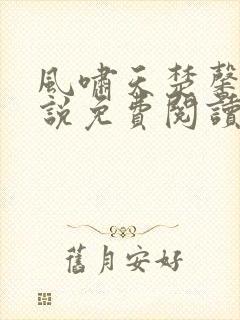 风啸天楚馨月小说免费阅读