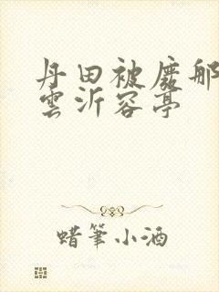 丹田被废那些年云沂容亭