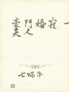 豪门婚宠 一品夫人