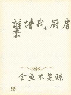 谁借我厨房第三季