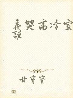 弄哭高冷室友小说