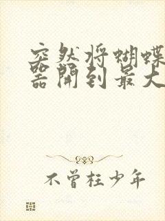 突然将蝴蝶遥控器开到最大